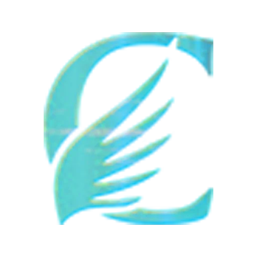 icon RAJALIGA34